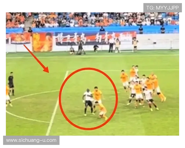 伤势对裁判判罚决策的影响及其在比赛中的体现与反思